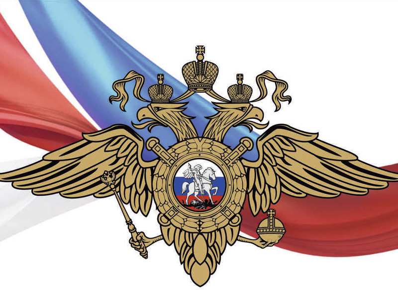10 ноября – День сотрудников органов внутренних дел Российской Федерации.
