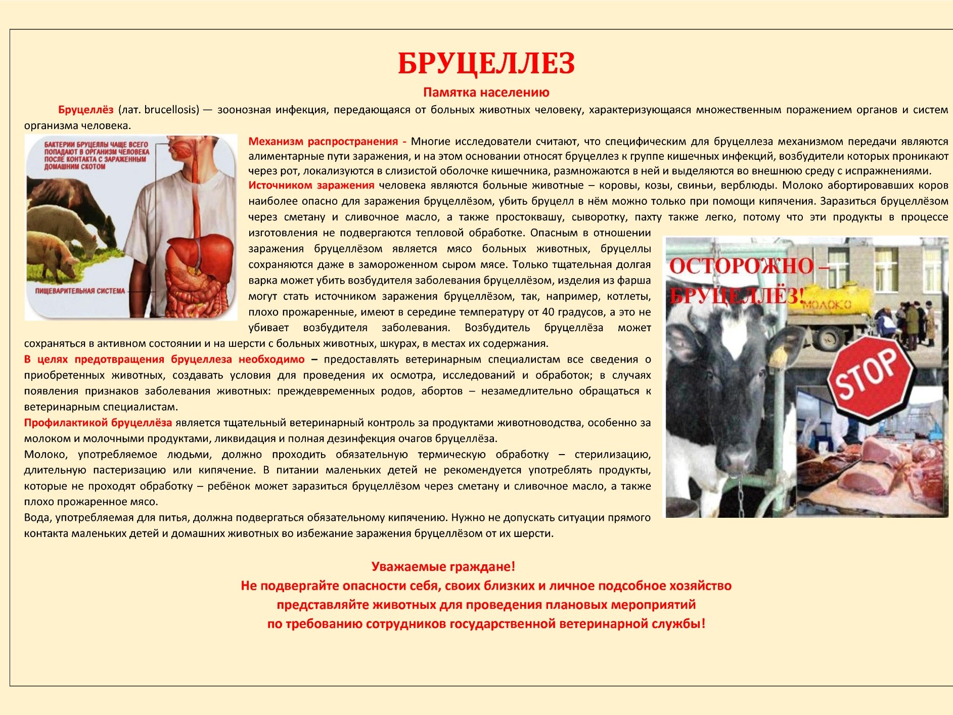 Внимание! Осторожно, бруцеллез!.